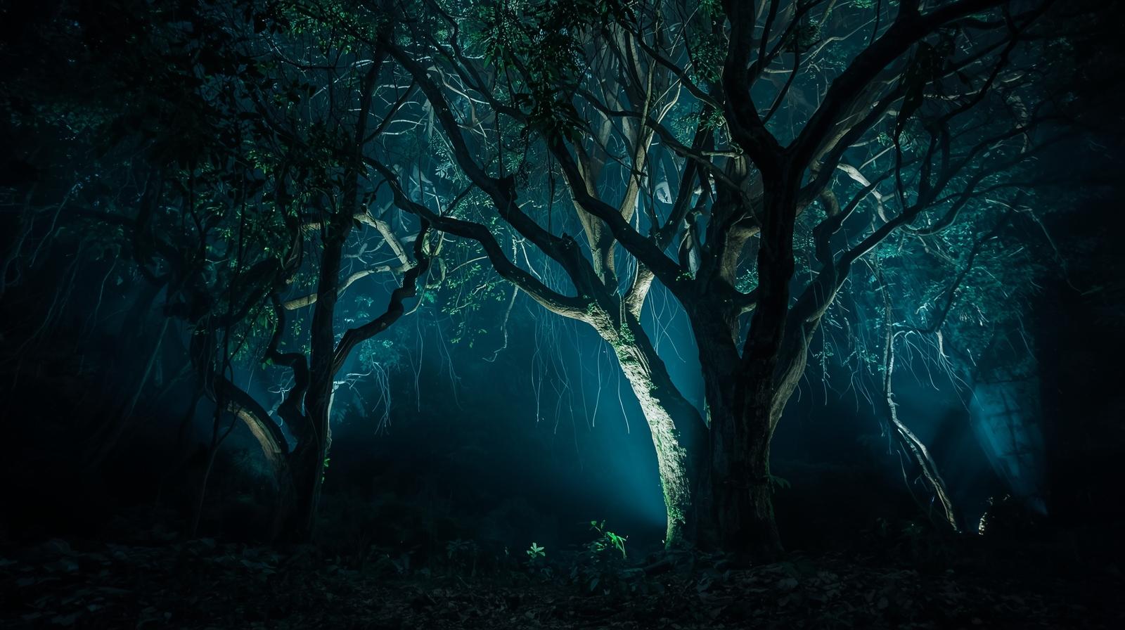 “Amazon forest at night with trees glowing softly blue.”